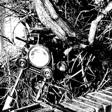 Find a photograph of a tree growing through a motorbike.