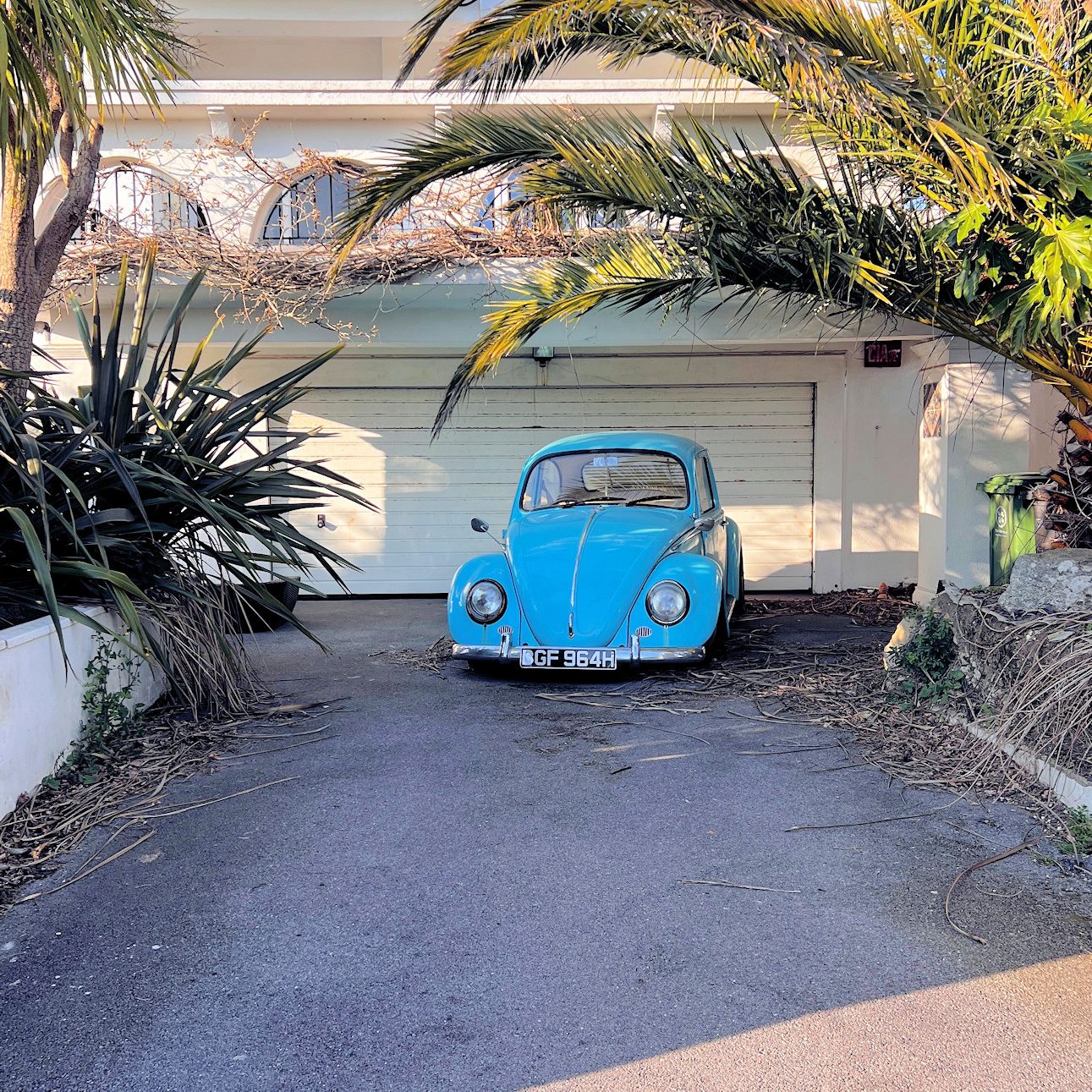 Richard Gardner – Photograph - The VW Beetle