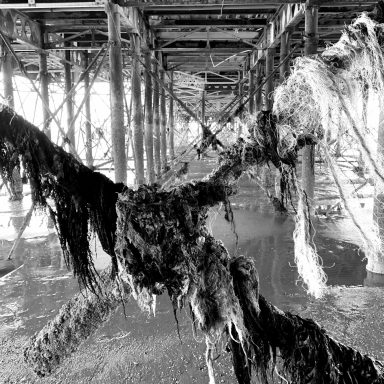 Find a black and white photograph of plastic from the sea wrapped around our piers.