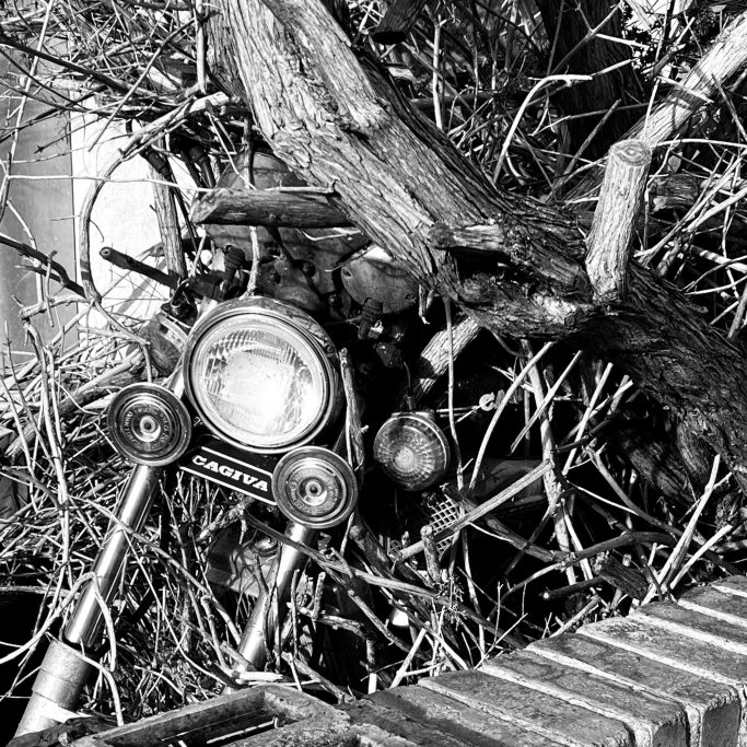 Going nowhere Black and white photograph of a motorbike with a tree growing through it.