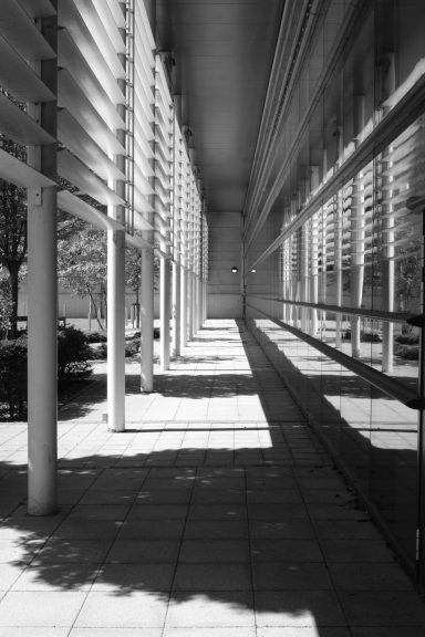 Find an architectural photograph with columns reflected in mirros.